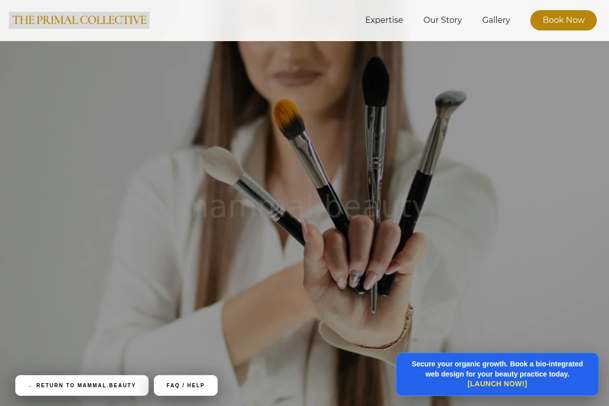 Prime Makeup Artist